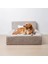 Luxury Lavitta Kedi&köpek Yatağı 1 Adet 2