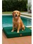 Luxury Eva Garden, %100 Su Geçirmez Alezli, Çıkarılabilir Kılıflı, Tüy ve Leke Tutmaz Kedi ve Köpek Yatağı 1 Adet 1