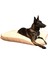 Luxury Mıu Serisi Çift Taraflı Kedi ve Köpek Yatağı 100X70 cm 1 Adet 1
