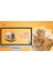 Luxury Pd Taht Kedi Köpek Yatağı Ergonomik 40*70 cm Antrasit ,yıkanabilir Duck Kumaş Minderi ile Beraber 1 Adet 2