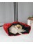 Luxury Şezlong Kedi Köpek Yatağı 1 Adet 1
