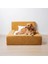 Luxury Lavitta Kedi&köpek Yatağı 1 Adet 3