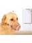 Luxury Köpek Koruma Ağızlığı 7'li Set 1 Adet 4