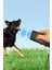 Luxury Fırsat Byr Ultrasonik R Vermeyen Köpek ve Eğitici Cihaz Yeni 1 Adet 3