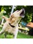 Luxury Fırsat Byr Ultrasonik R Vermeyen Köpek ve Eğitici Cihaz Yeni 1 Adet 4