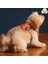 Luxury Concept, Köpek Çantası, Köpek Göğüs Tasması 1 Adet 2