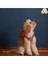Luxury Concept, Köpek Çantası, Köpek Göğüs Tasması 1 Adet 3