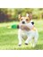 Sesli Ördek Şekilli Peluş Köpek Oyuncağı 1