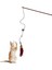 Aee® Kedi Oltası Işikli Tüylü Çanlı Kedi Oyuncağı 105 cm -Türkiye'de Ilk Işıklı Kedi Oltası- 1 Adet 1
