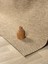 Cozy Wool Modern Yıkanabilir Kaydırmaz Toz Vermez Kilim Halı 2