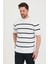 Erkek Bisiklet Yaka Kalın Çizgi Detaylı Kısa Kollu Ince Triko T-Shirt 3