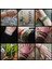 17CM Tarzı Çim Taşı Kadın Erkek Doğal Taş Turmalin Bilezik Ametist Zirkon Kuvars Esnek Halat Reiki Takı Bohemya Pulsera (Yurt Dışından) 3