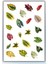Çiçek-Yaprak Temalı 3 'lü Set Sticker Planner Ajanda Bullet Journal Için Uygun Set 3