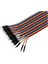 10CM 2.54MM Dişi - Dişi Dupont Tel Jumper Kablo (Yurt Dışından) 1