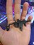 Kriss Vector Keychain THN2533654 2