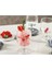 Home Basic Cam 3'lü Kadeh 300 ml 2