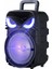 Pk-17 Fm Radyolu Mikrofonlu Rgb Tws 8 Inç Stereo Bass Kablosuz Karaoke Hoparlör 1