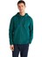 Erkek Yeşil Sweatshirt 804 1