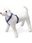 Luxury Karlıe Köpek Göğüs Tasması M Mavi 45-70X2 684144 1 Adet 2