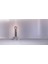 Güzellik Terapi Cihazı, Rf Lifting, Ems ve LED Terapisi ile Anında Kaldırma Etkisi 5