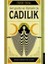 Avrupa Da ve Osmanlı Da Cadılık 1