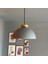 Yimpi Gri Avize Ahşap Tekli Sarkıt Salon Kuaför Cafe Dekoratif Aydınlatma Pastane 4
