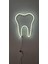 ALMİLA3D Diş Hekimlerine Özel Beyaz LED Işıklı Diş Figürü 30X26 1