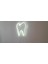 ALMİLA3D Diş Hekimlerine Özel Beyaz LED Işıklı Diş Figürü 30X26 2