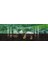 Bio Naturel (%100 Bitki Bazlı), Tekrar Kullanılabilir, Kompostlanabilir, Biyoçözünür (Doğada Çözünebilir) Pipet (10, Naturel) 3