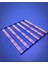 Southern Sun SN6500 Bitki Yetiştirme Lambası Full Spectrum Bitki Yetiştirme Ledi Grow Lamp Plant Light 2