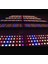 Southern Sun SN5000 Bitki Yetiştirme Ledi Full Spectrum Bitki Yetiştirme Lambası Grow Lamp Plant Light 4