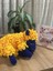 El Yapımı Amigurumi Kuzu Peluş Oyuncak - 40 cm | Alize Puffy Örgü | %100 Pamuk | Bebek ve Çocuklar Için Uyku Arkadaşı 1