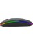 Everest SM-BT11 USB Siyah 2ın1 Bluetooth 2.4ghz Şarj Edilebilir Kablosuz Mouse (5057) 2