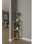 3 Katlı Ahşap Köşe Raf – 29X29X74 cm – Dekoratif Açık Raf Ünitesi 1