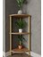 3 Katlı Ahşap Köşe Raf – 29X29X74 cm – Dekoratif Açık Raf Ünitesi 4