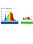 Cannalight 1200W Bitki Yetiştirme Lambası Full Spectrum Bitki Yetiştirme Ledi Grow Lamp Plant Light 10