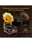 Retro Fonograf Seti, Vintage Gramofon Müzik Kutusu Yapım Seti, Akustik Müzik Deneyimi 5