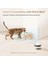 Ebo Rola Kablosuz Kedi Pınarı, Akıllı Uygulama Kontrolü, 2l Ultra Sessiz Kedi Içme Fıskiye 3