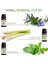 Uçucu Yağ Seti 12x10ml, Aroma Terapi Yağları 3