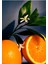 Orange Blossom Küçük Mum – Doğal Narenciye ve Bal Kokusu 3