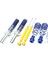 Ta Technıx Coilover Set Audi A1 (8x)/ Seat Ibiza Iıı+Iv (6l/6j)/ Skoda Fabia I-Iı (6y/5j)/ Vw Fox (5z), Polo 9n, Polo 6r'ye Uyar TAGWVW11 1