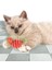 Yaylı Metal Fareli Kafes Kedi Oyun Topu Sıçrayan Spiral Kedi Topu 3