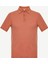 Polo Yaka Henry Triko 5