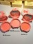 Shine Pink Blusher- Parlatıcı Allık No : 01 2