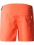 Class V Rıpstop Erkek Günlük Short - NF0A81X1 2