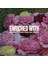 British Rose Eau De Toilette 100 ml 4