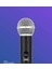 Menashop Metrashop Kablosuz Karaoke Mikrofonu 6.35MM Amfi Hoparlör Için 600 Hz Ila 800 Khz Çok Amaçlı Tak ve Çalıştır Kablosuz Mikrofon Dış Mekan Için WN05 (TEKLI-WN05) 2
