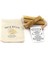 Menashop Metrashop Palo Santo Maximus Wish Kit: 3 Palo Santo Tütsü ve Pecten Maximus Deniz Kabuğu Tütsülük 3