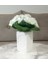 Menashop Metrashop Dahil,vazo Dahil,vazoda Çiçek,beyaz Yapay Çiçek,vazo Dekoratif Çiçekli Kare 8X8X16CM 3