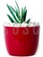 Menashop Metrashop Çakıl Taşı Dolomit Taşı Bahçe Süsü Akvaryum Taşı Dere Çakıl Taşı 1-2 cm 3 kg 3